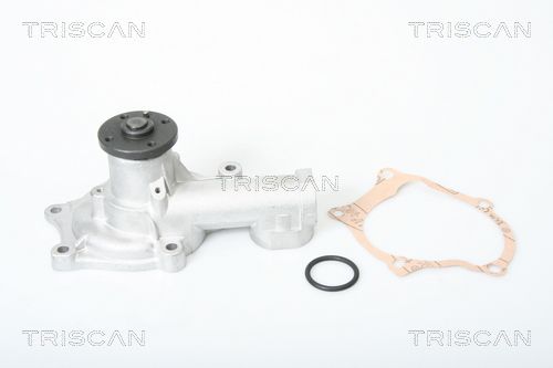 Wasserpumpe TRISCAN 8600 42002