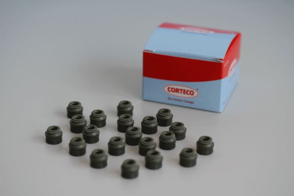 Dichtungssatz Ventilschaft CORTECO 19036121