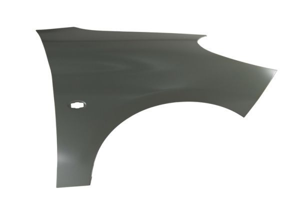Kotflügel BLIC 6504-04-5507314P