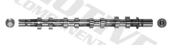 Nockenwelle motive T1961