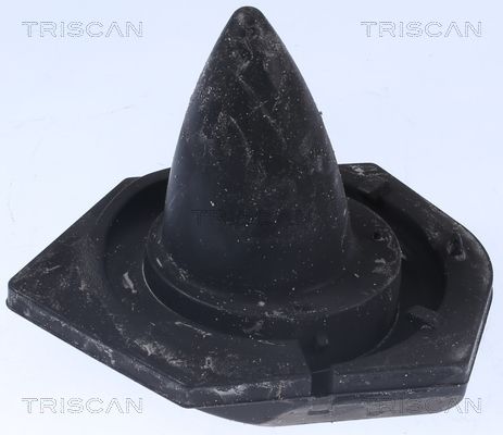 Federbeinstützlager TRISCAN 850025927