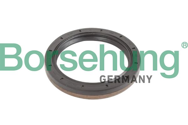 Wellendichtring, Schaltgetriebeflansch BORSEHUNG B12193