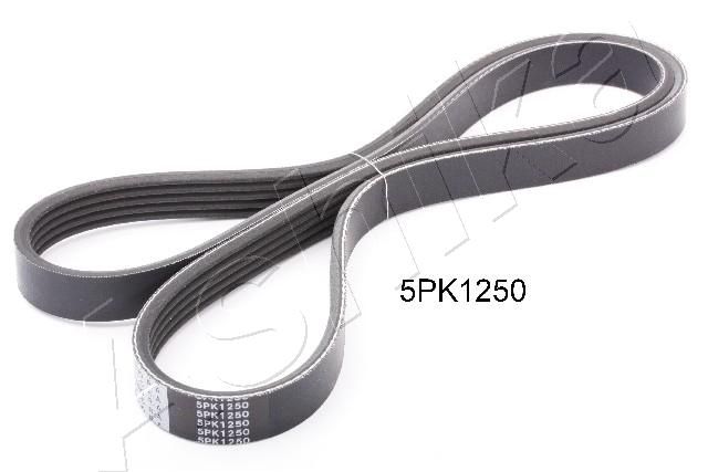 Keilrippenriemen Ashika 112-5PK1250