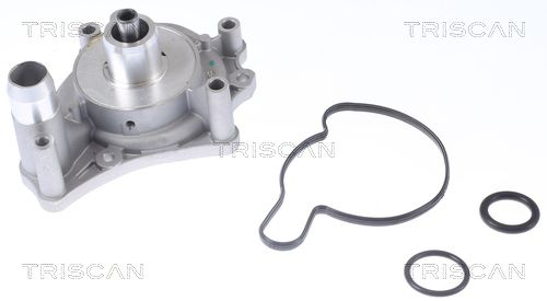 Wasserpumpe TRISCAN 8600 29088