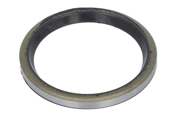 Dichtring, Achsschenkel BTA B06-2201