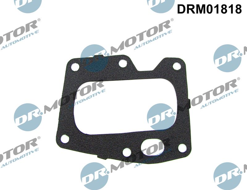 Dichtung, AGR-Ventil DR.MOTOR AUTOMOTIVE DRM01818