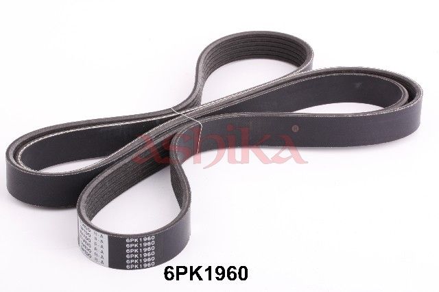 Keilrippenriemen ASHIKA 112-6PK1960