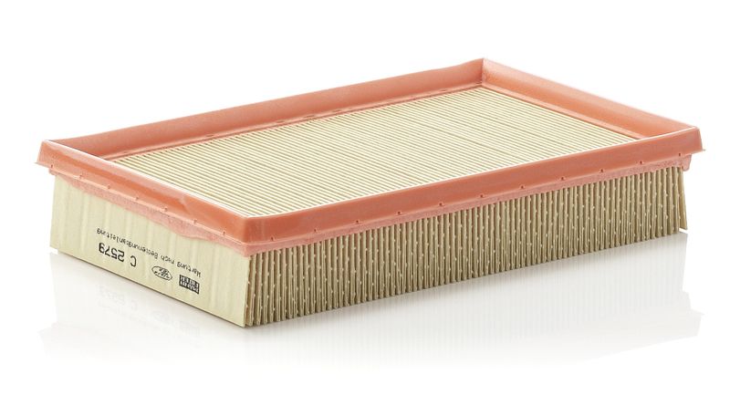 Luftfilter MANN-FILTER c 2579