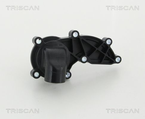 Kühlwasserthermostat TRISCAN 8620 46985