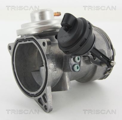 AGR-Ventil TRISCAN 881329070