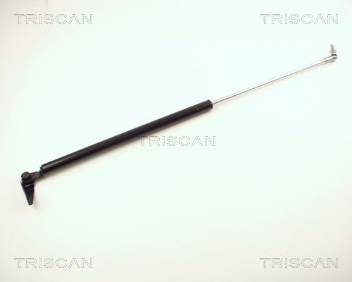 Heckklappendämpfer TRISCAN 8710 13245