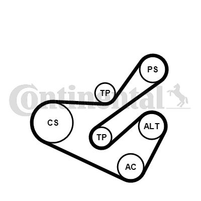 Keilrippenriemensatz CONTINENTAL CTAM 6pk1740k1
