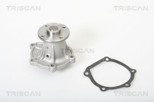 Wasserpumpe TRISCAN 8600 13865