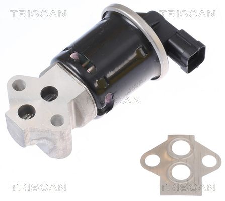 AGR-Ventil TRISCAN 881321008