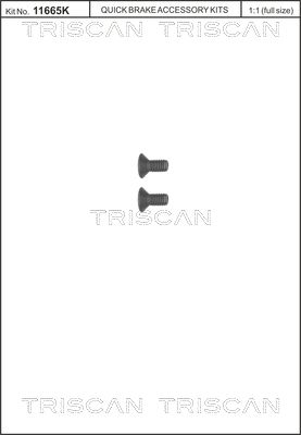 Schraubensatz, Bremsscheibe TRISCAN 8105116006