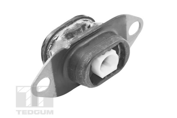 Lagerung, Motor TEDGUM TED46913
