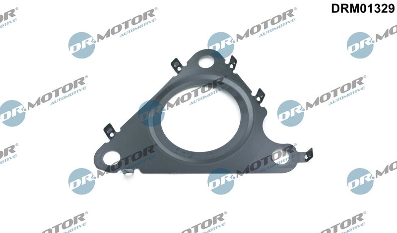 Dichtung, AGR-Ventil DR.MOTOR AUTOMOTIVE DRM01329