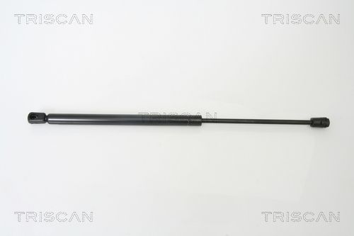 Heckklappendämpfer TRISCAN 8710 42235