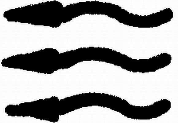 Typschild HELLA 9XT713 630-291