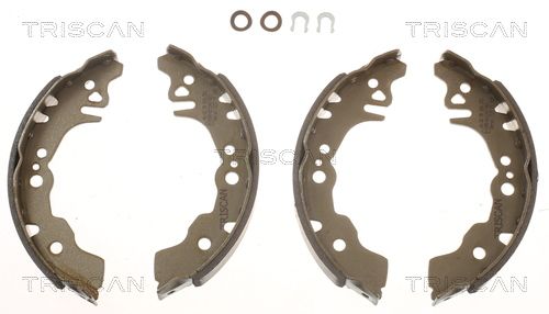 Bremsbackensatz TRISCAN 8100 10027