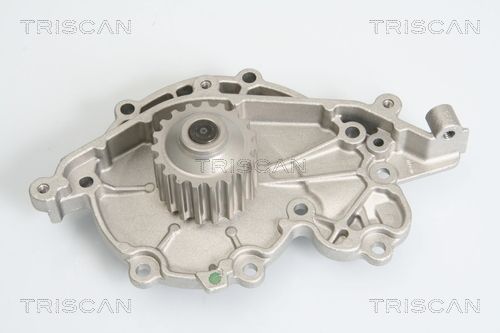 Wasserpumpe TRISCAN 8600 25015