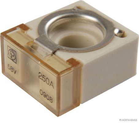 Sicherung HERTH+BUSS ELPARTS 50295887