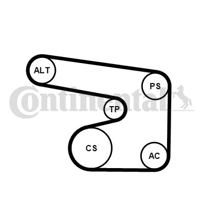 Keilrippenriemensatz CONTINENTAL CTAM 6PK1900K1