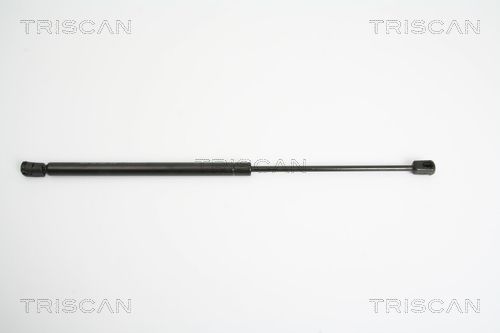 Heckklappendämpfer TRISCAN 8710 29245