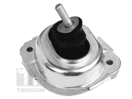 Motorlager TEDGUM 00088531