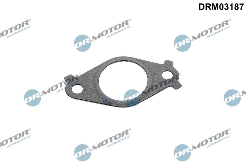 Dichtung Leitung AGR-Ventil Dr.Motor Automotive DRM03187