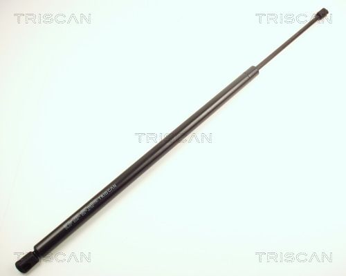 Heckklappendämpfer TRISCAN 8710 24222