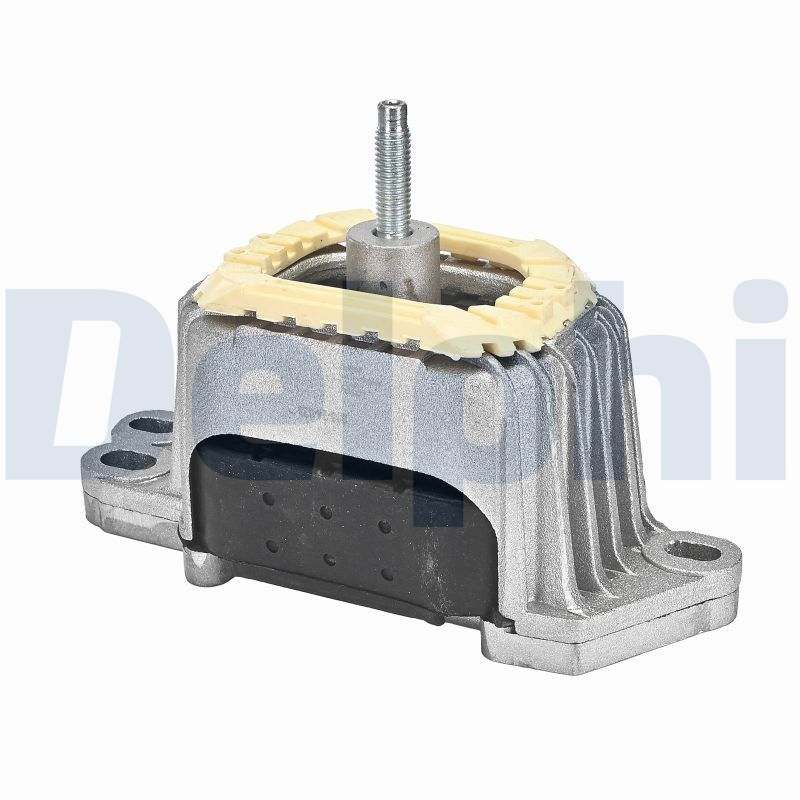 Lagerung, Motor DELPHI TEM271