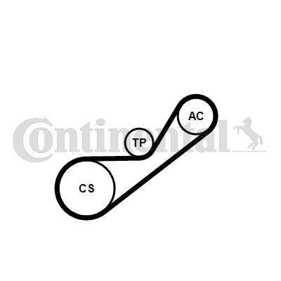 Keilrippenriemensatz CONTINENTAL CTAM 4PK925K1