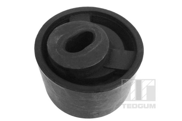 Lagerung, Motor TEDGUM 00117145