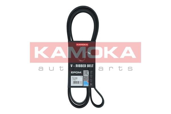 Keilrippenriemen KAMOKA 7017039