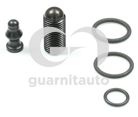 Dichtungssatz, Einspritzdüse GUARNITAUTO 094797-1000