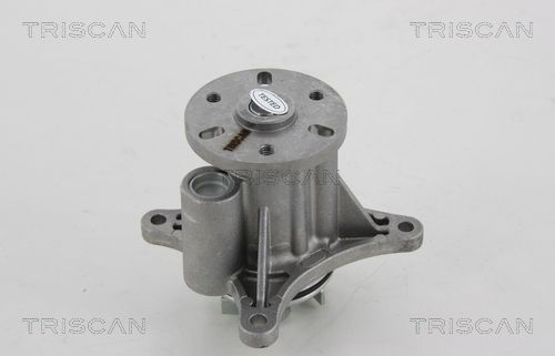 Wasserpumpe TRISCAN 8600 28022