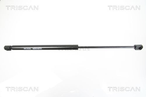 Gasfeder, Heckscheibe TRISCAN 871016251