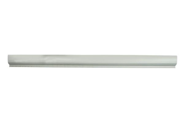 Einstiegsblech BLIC 6505-06-8179011P