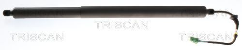 Heckklappendämpfer TRISCAN 8710 24302