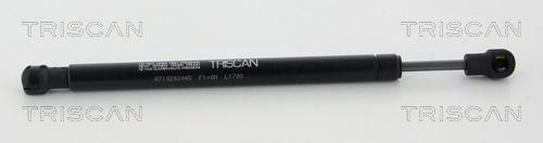 Gasfeder, Koffer-/Laderaum TRISCAN 8710292045
