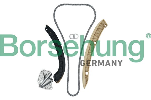 Steuerkettensatz BORSEHUNG B19256