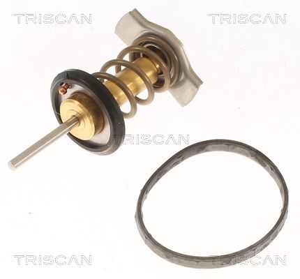 Kühlwasserthermostat TRISCAN 8620 50682