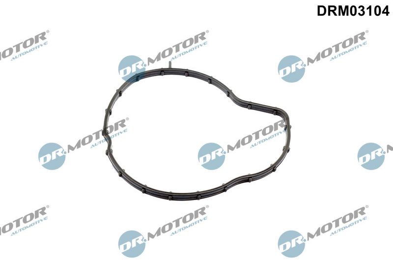 Dichtung Wasserpumpe Dr.Motor Automotive DRM03104