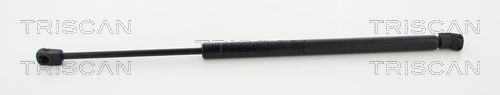 Gasfeder, Koffer-/Laderaum TRISCAN 871043238