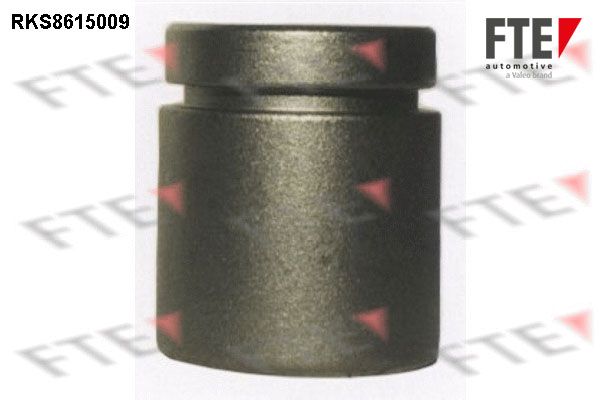 Kolben, Bremssattel FTE 9313004