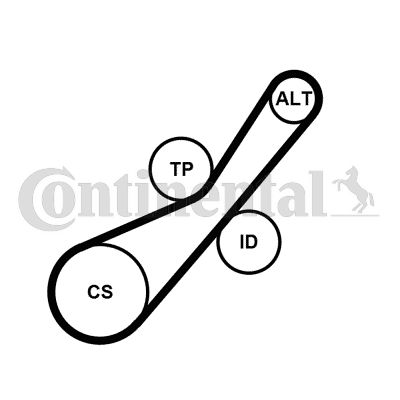 Keilrippenriemensatz CONTINENTAL CTAM 6pk800k2