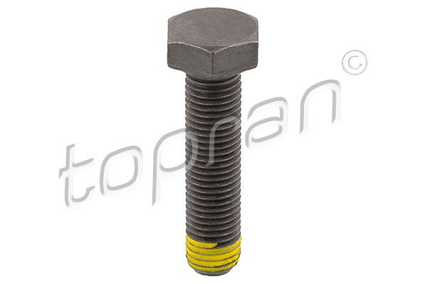 Schwungradschraube TOPRAN 502 756