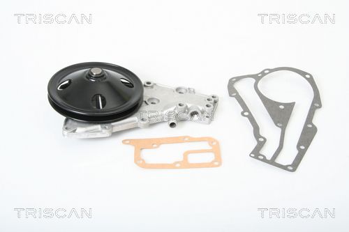 Wasserpumpe TRISCAN 8600 25814
