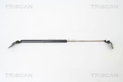 Heckklappendämpfer TRISCAN 8710 69214
